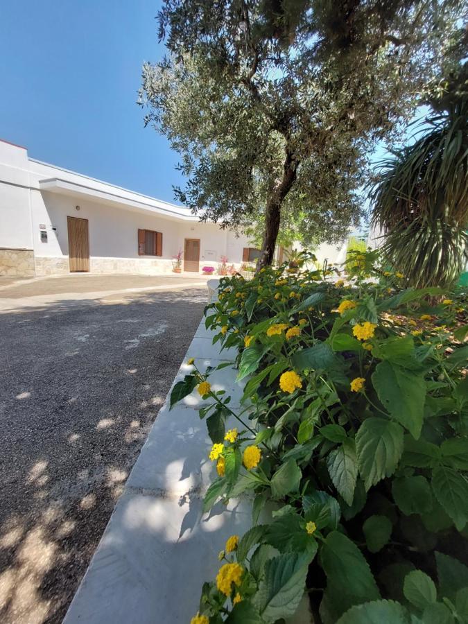 Il Trulletto Del Sognatore Monopoli Exterior foto